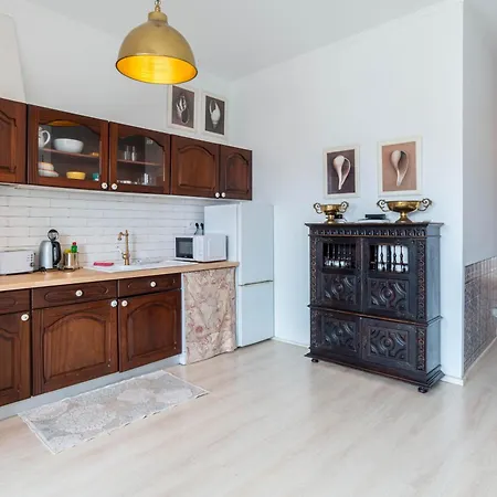 Apartament Hidden Gem 1 In Center *