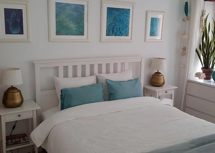 Hidden Gem 1 In Center